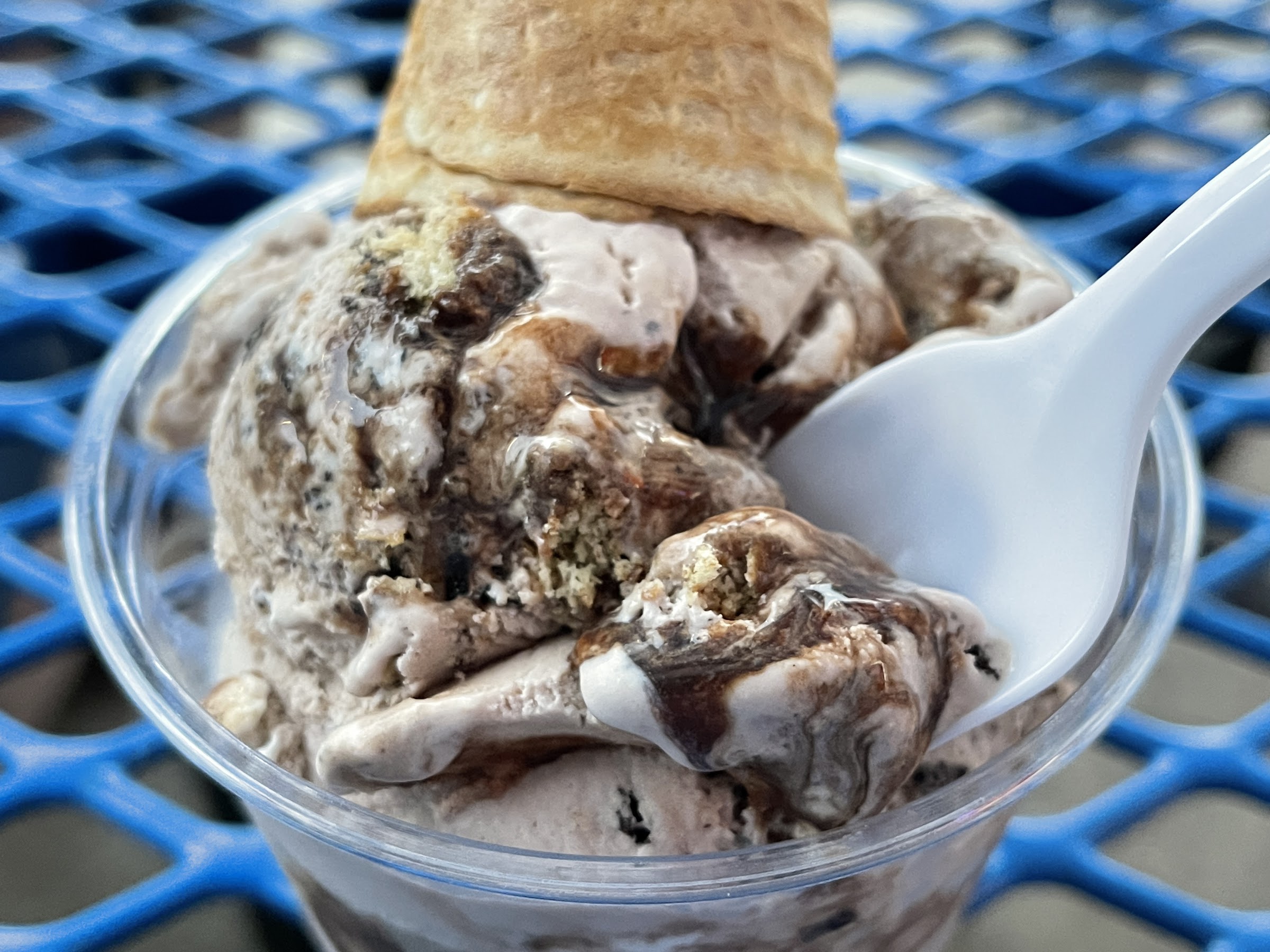 Bordentown Creamery photo
