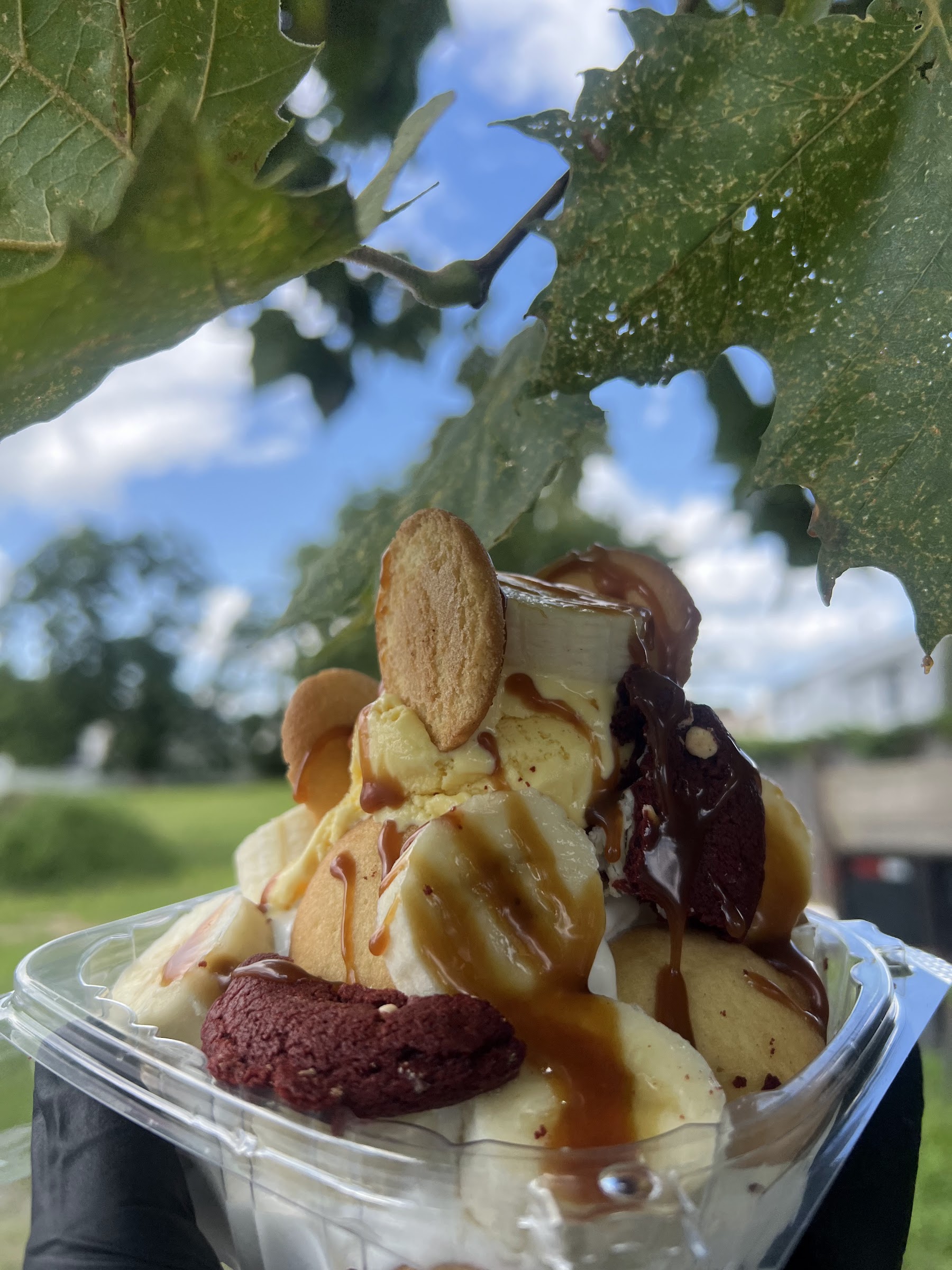 US Mr Ice Cream photo
