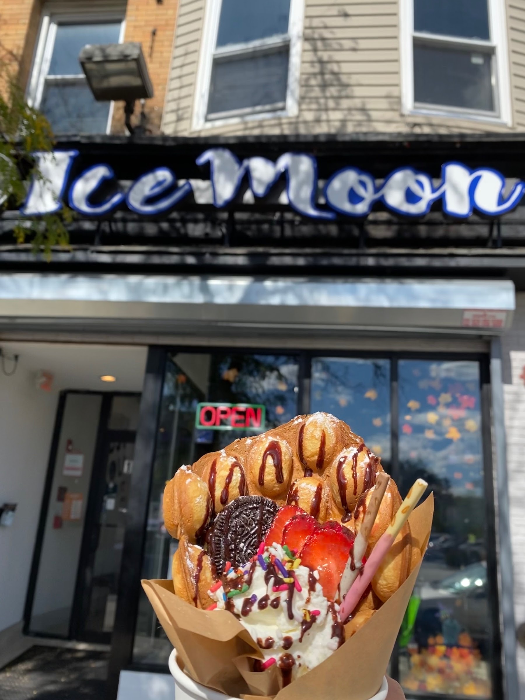 Ice Moon photo