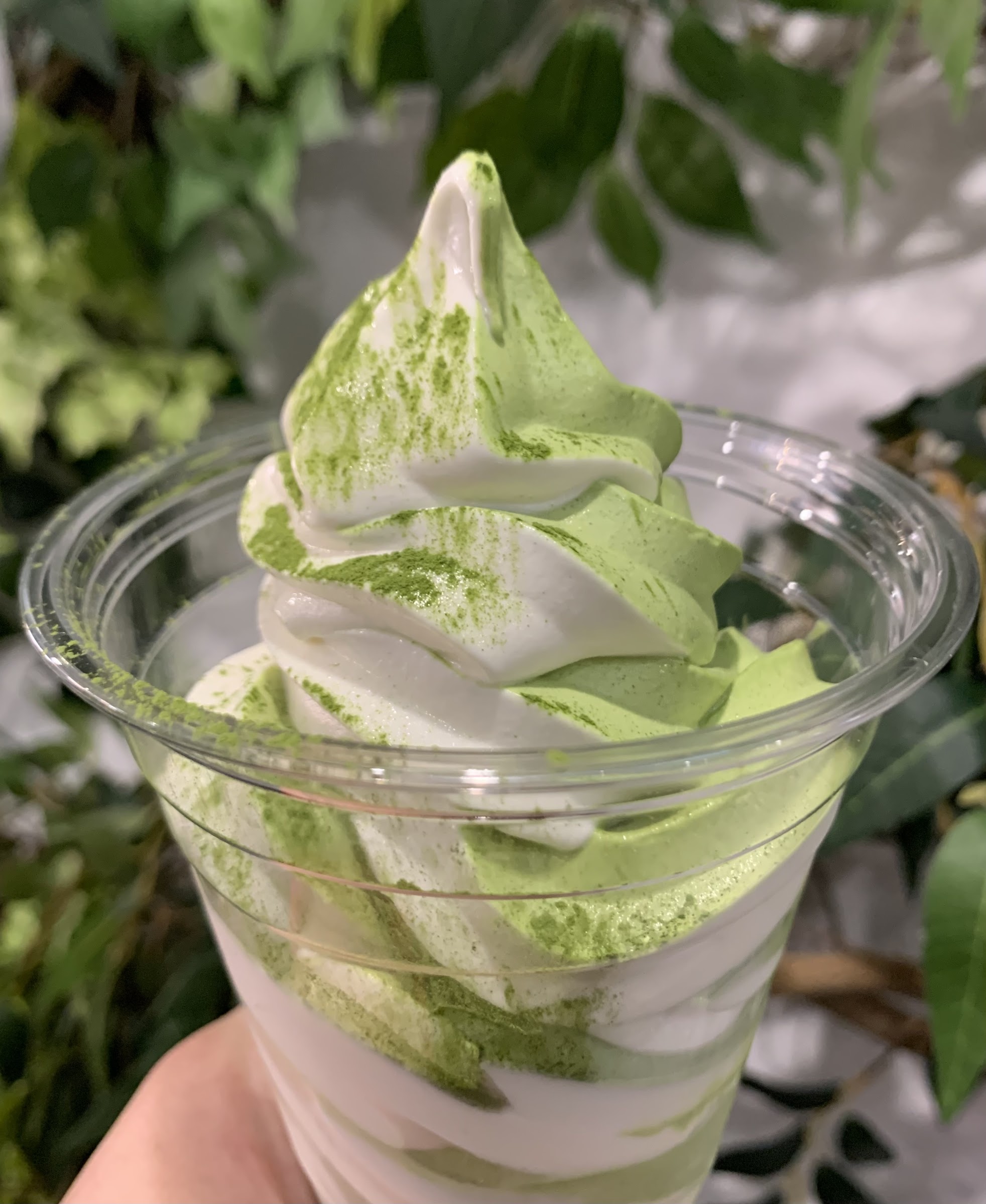 Matcha Cafe Maiko