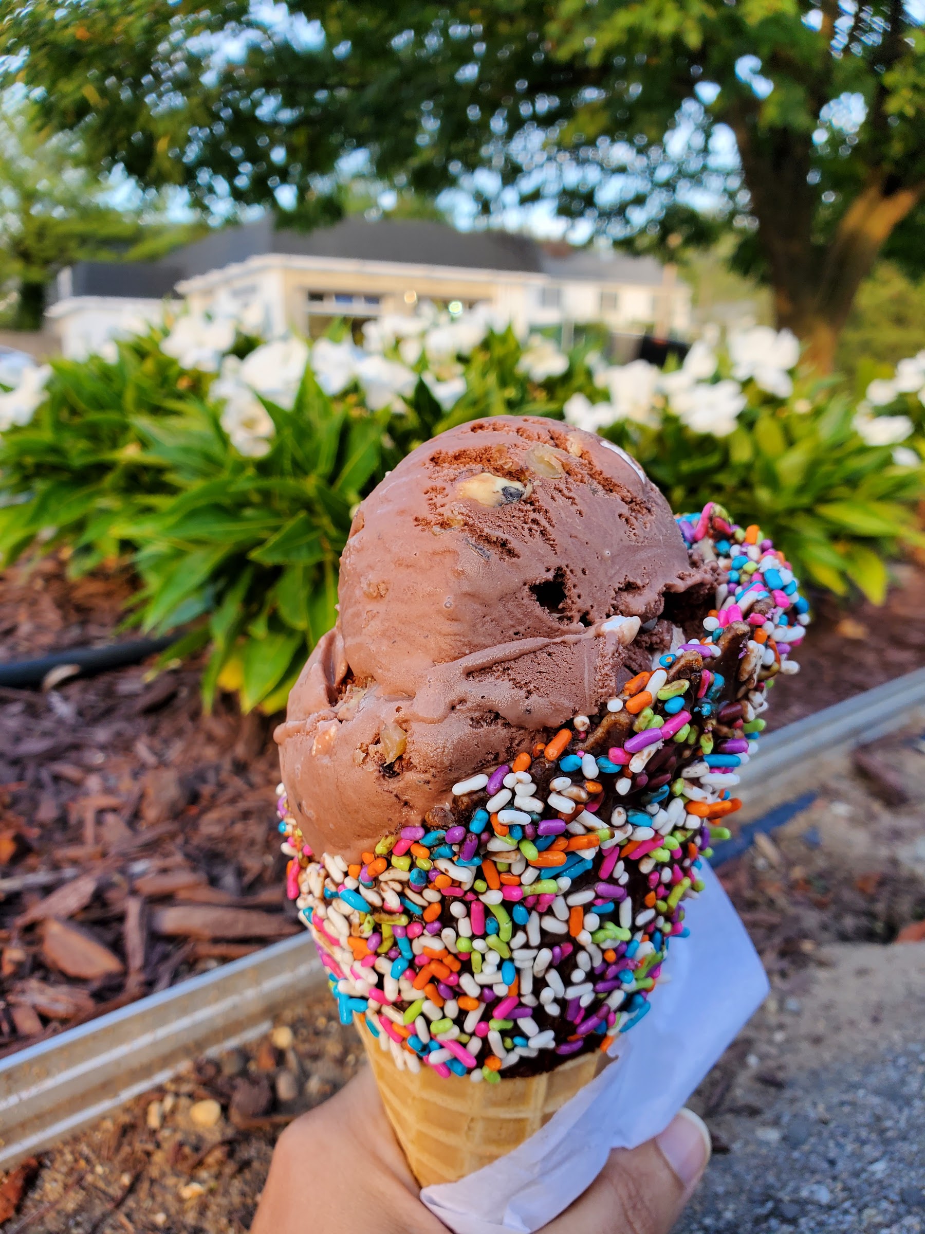 Zitas Homemade Ice Cream photo