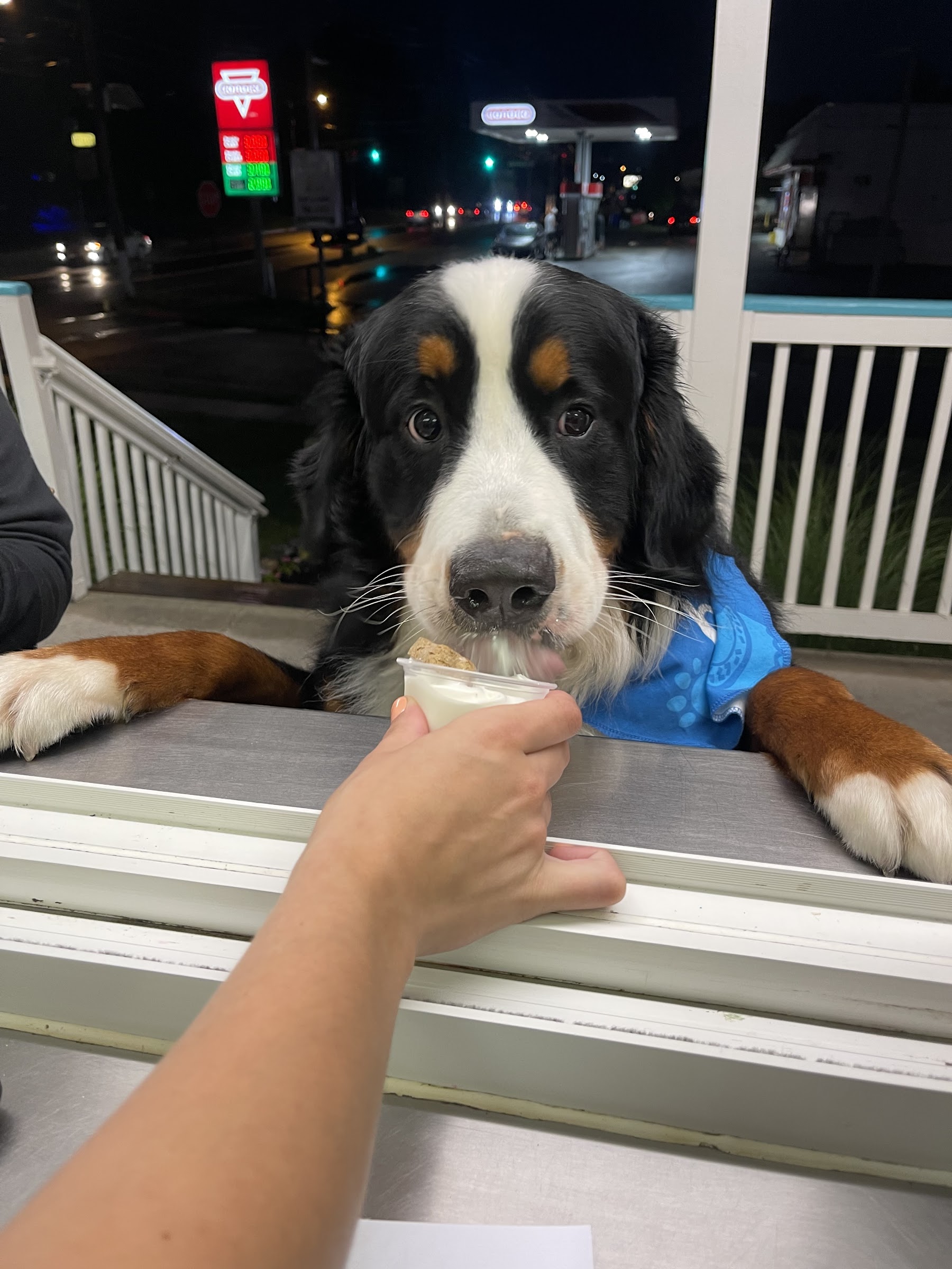 Ice Cream Love photo
