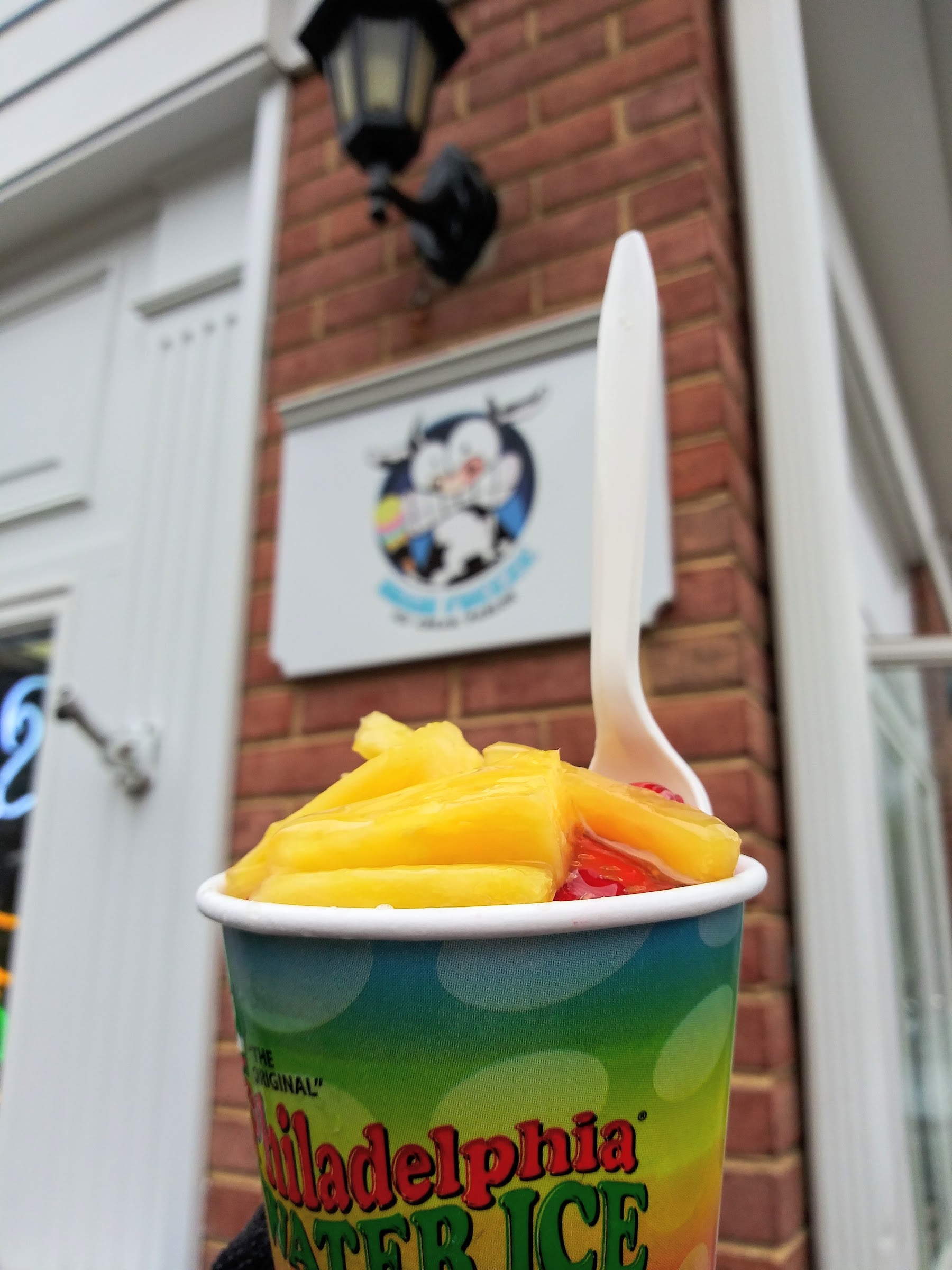 Brain Freeze Ice Cream Parlor photo