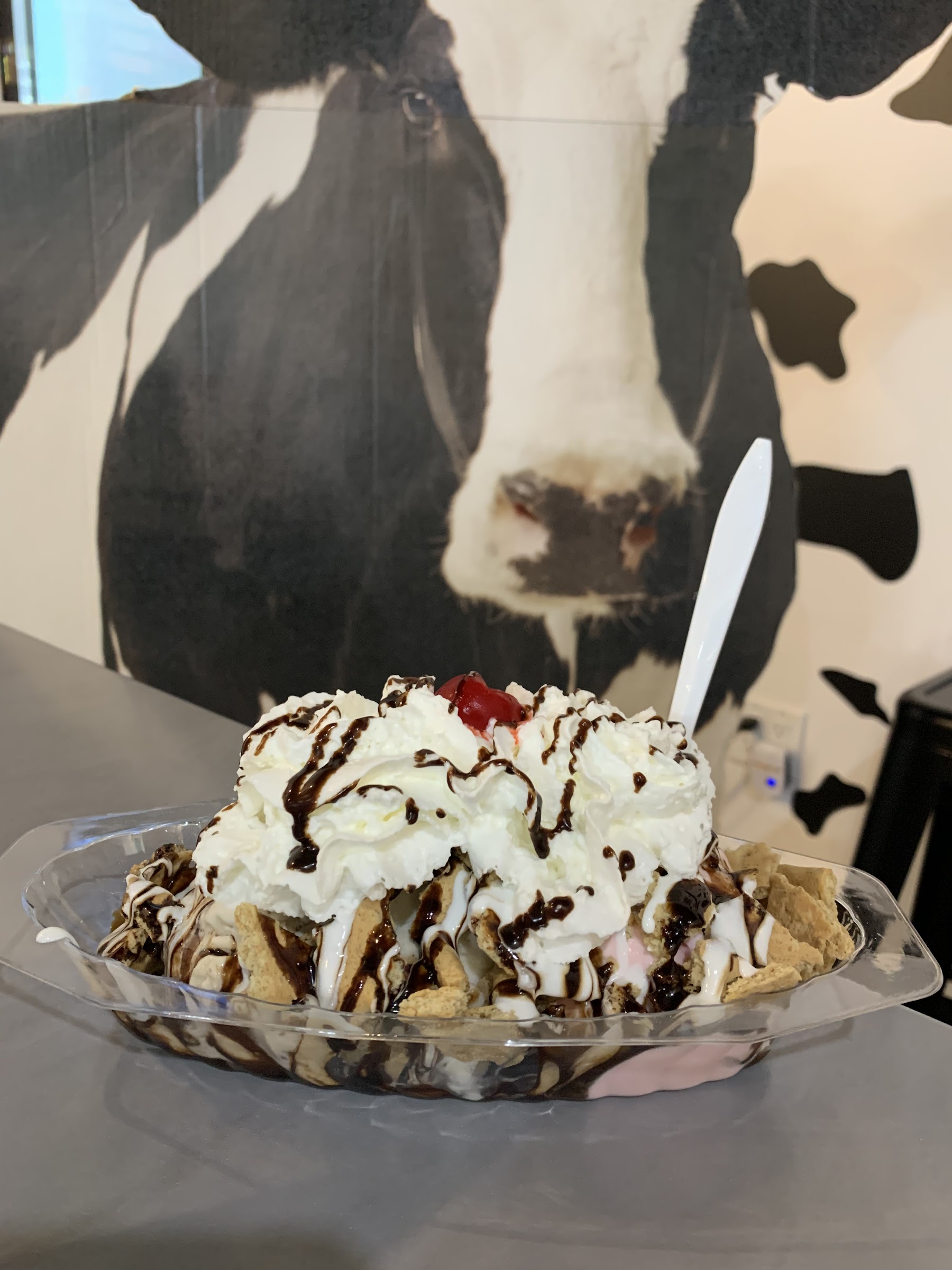Island Creamery New Jersey photo