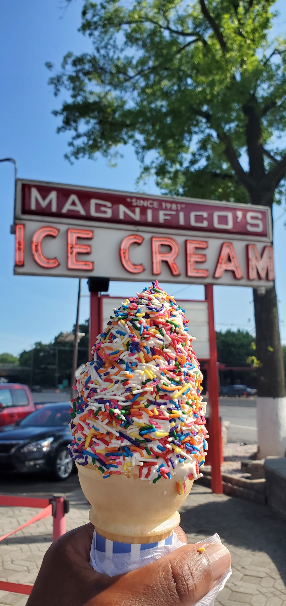 Magnifico's Ice Cream photo