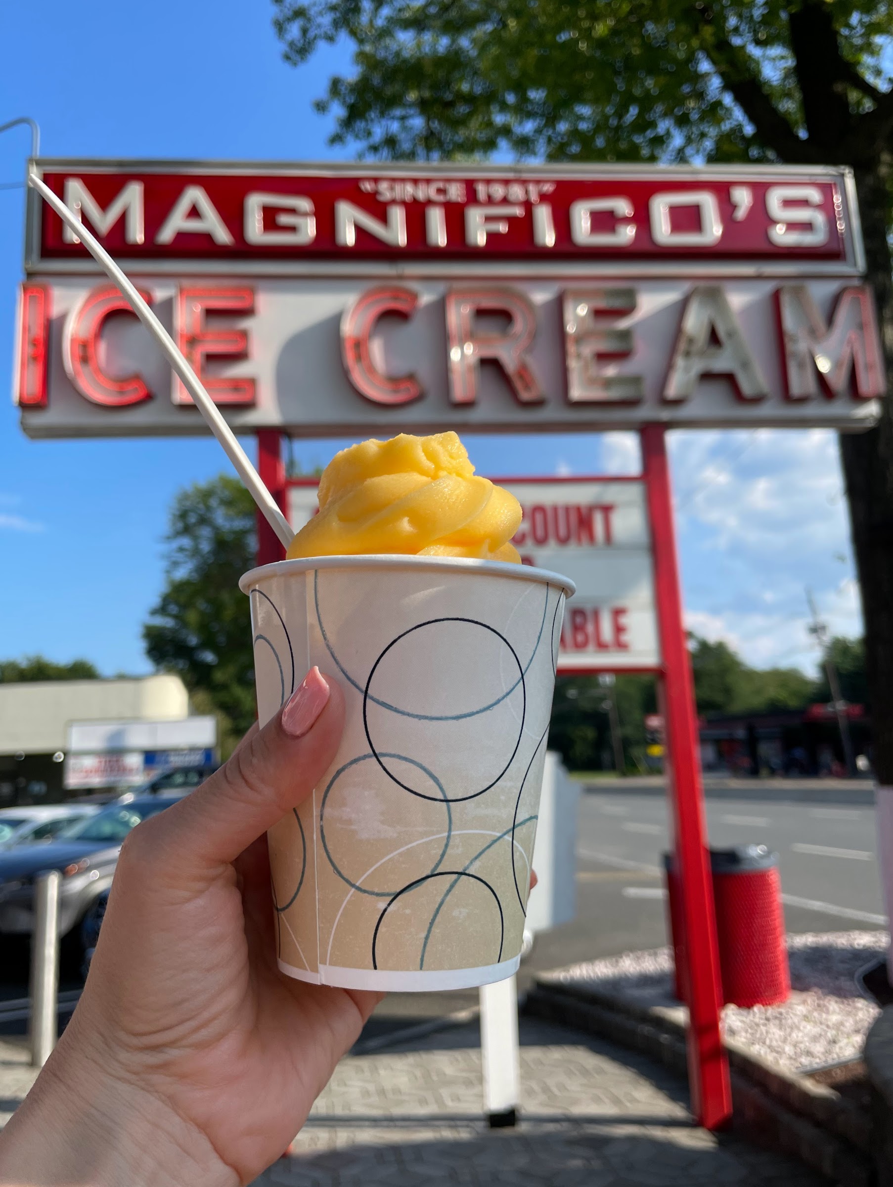 Magnifico's Ice Cream photo