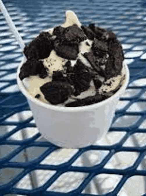 Salty's Inlet Ice Cream photo