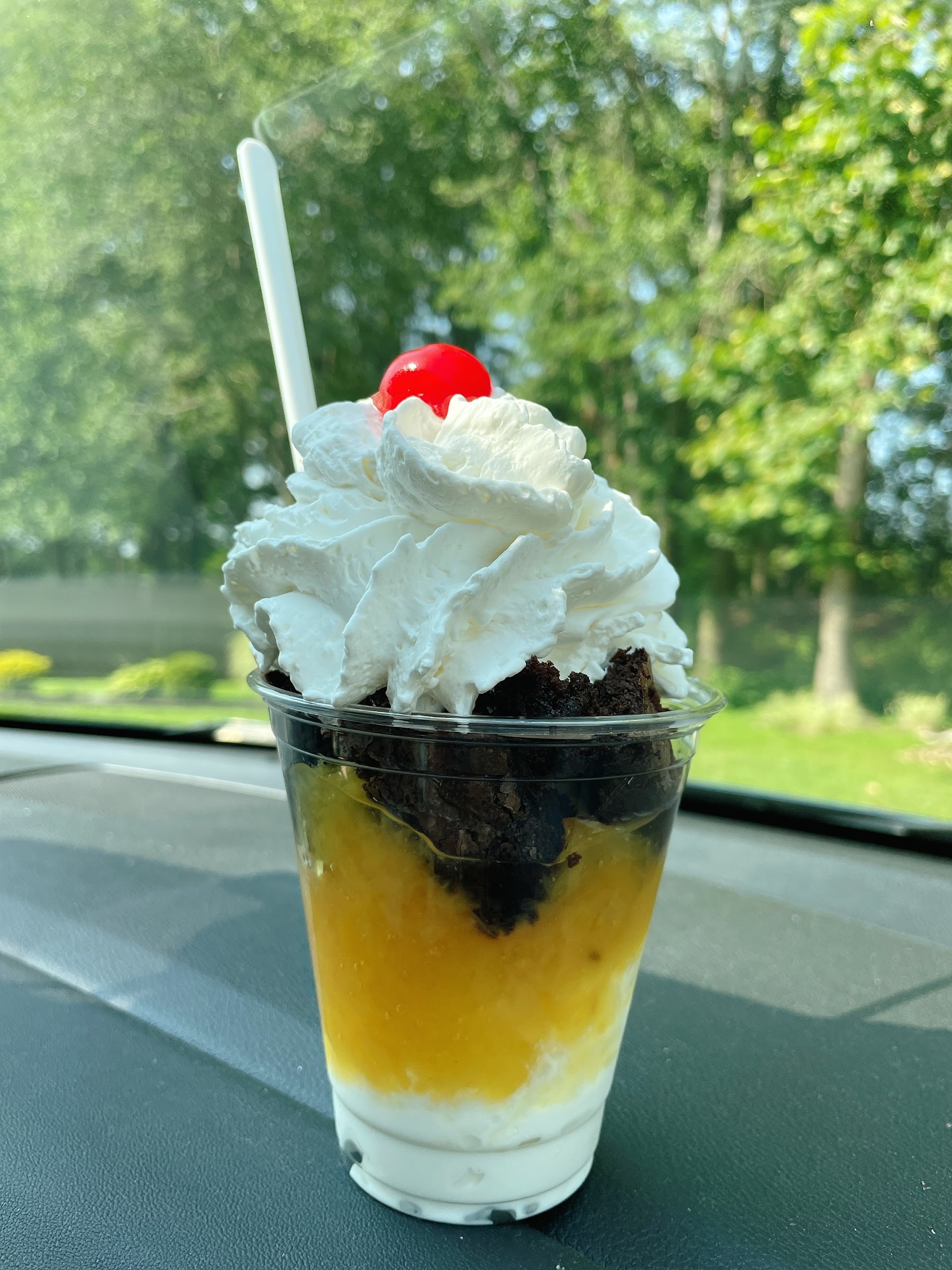 Custard Castle photo