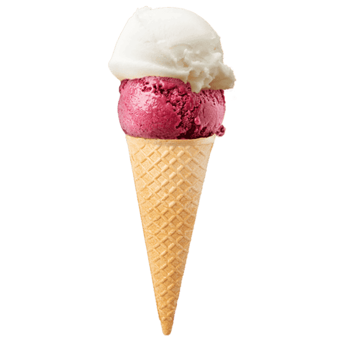 Bogati Helados con Queso Newark photo