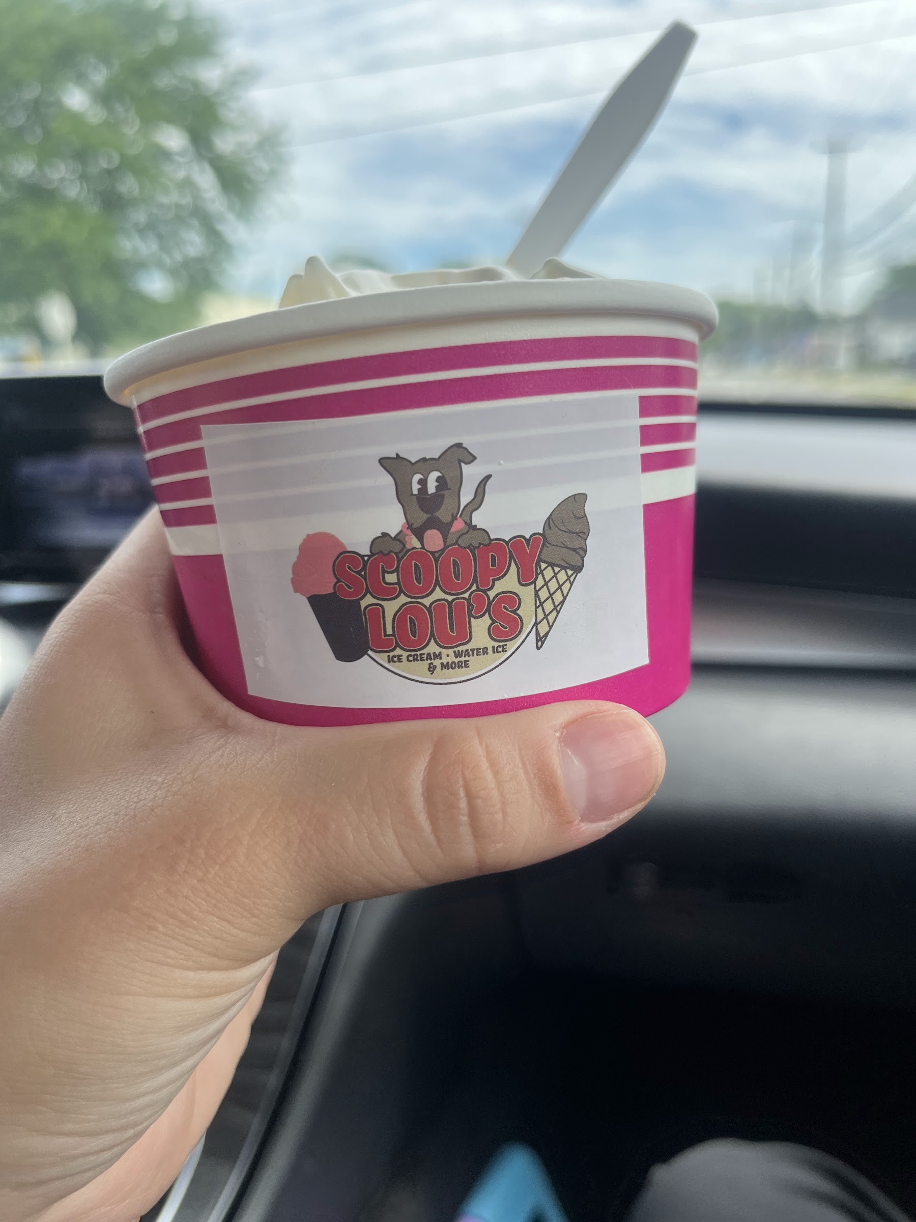 Scoopy Lou's LLC photo