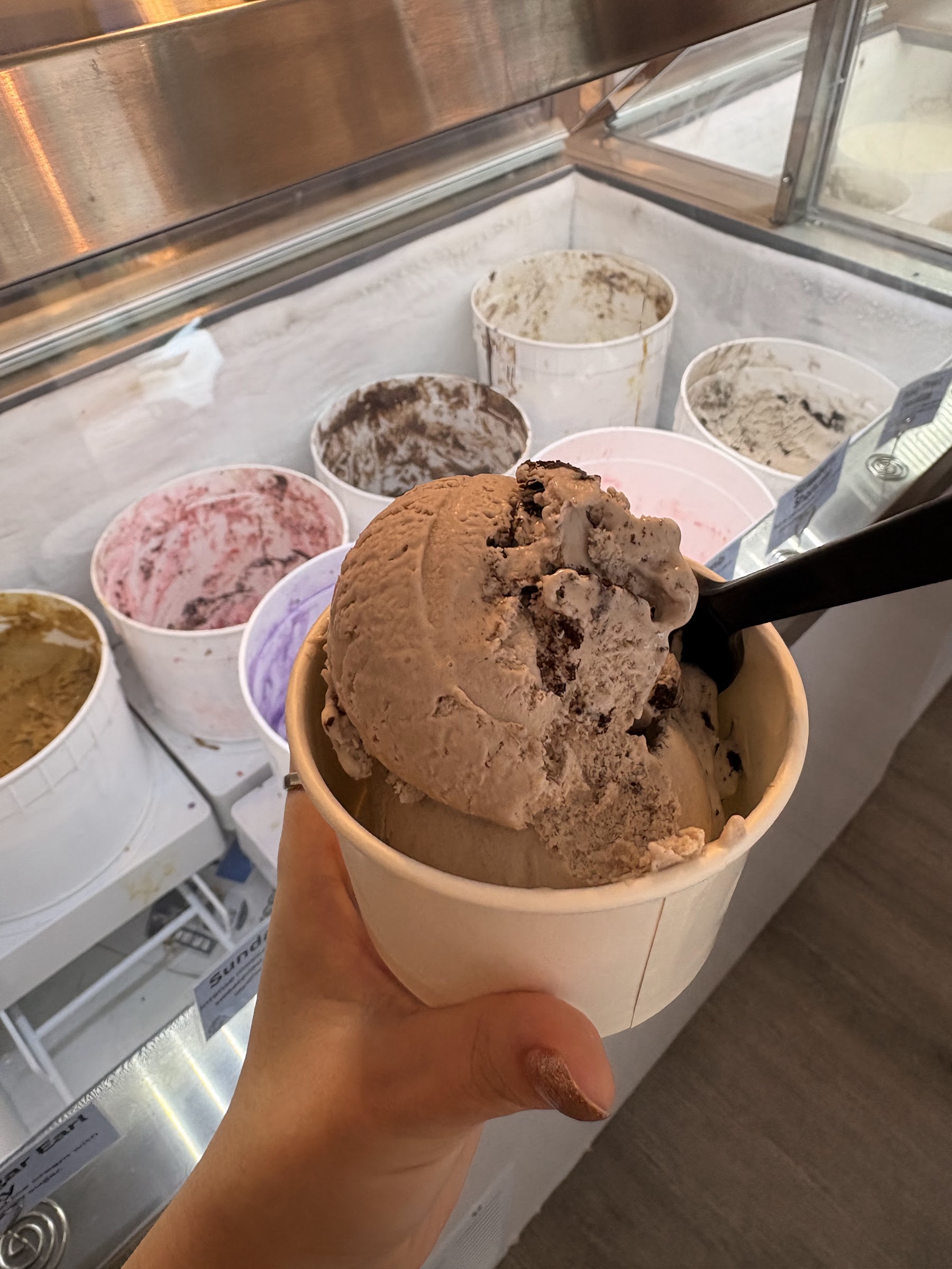 Reunion Princeton Sweet Parlor Small Batch Ice Cream🍦 photo