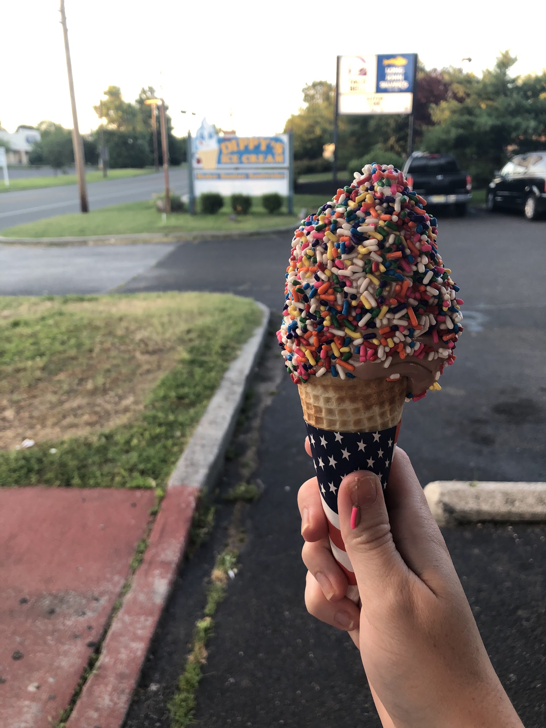 Dippy's Custard & Ice Cream photo