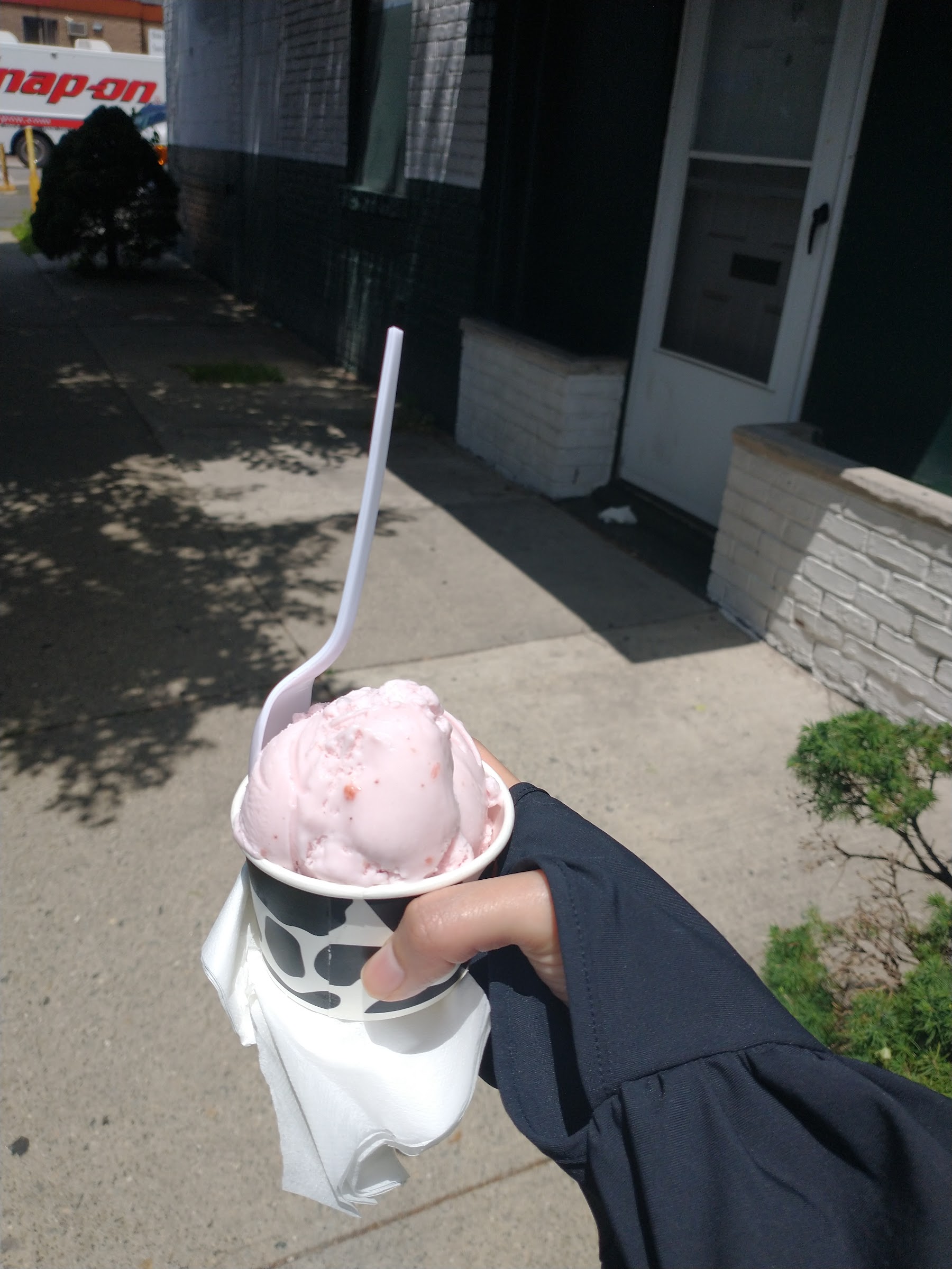 Bachi’s Ice Cream photo