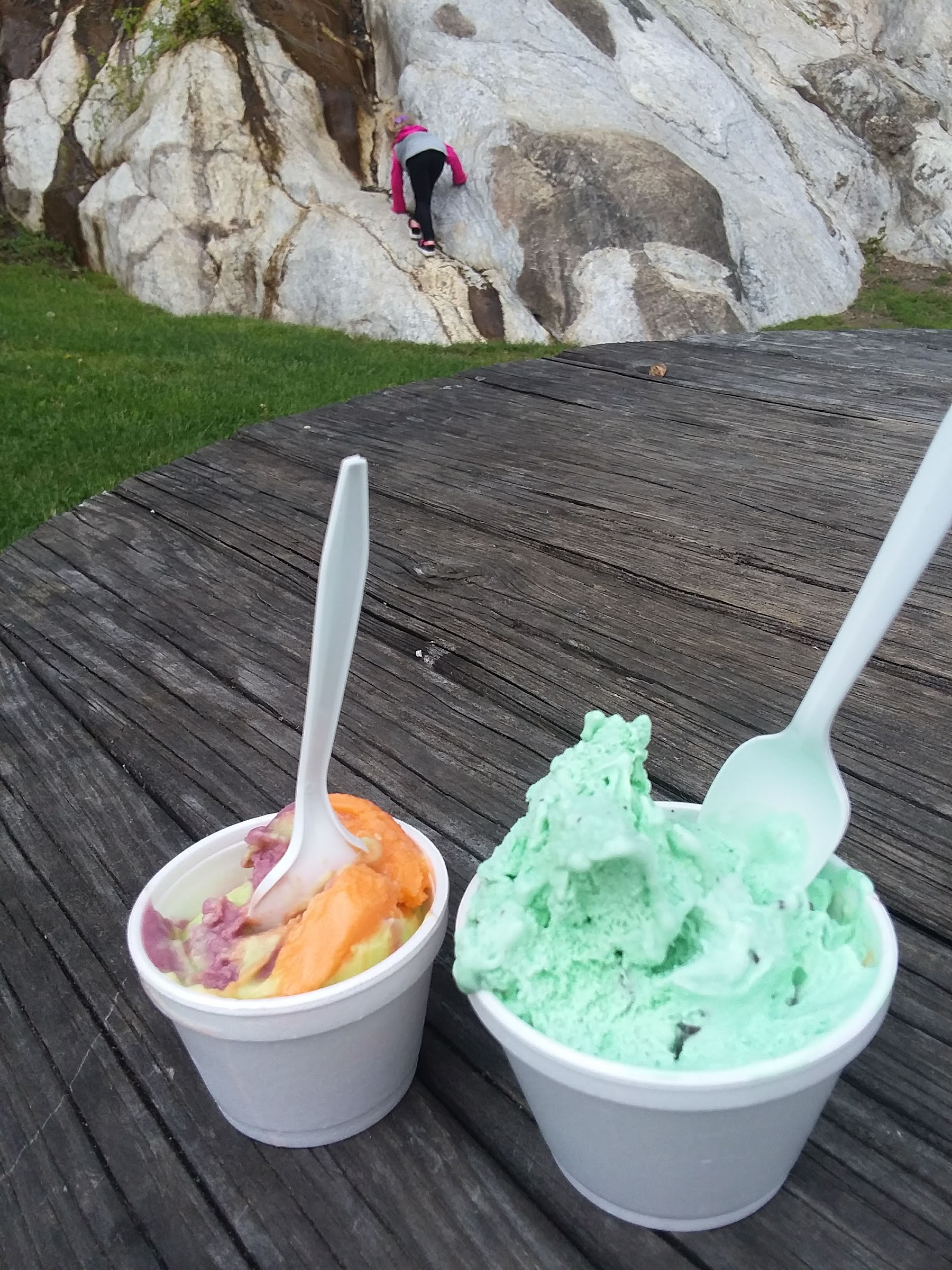 Dairy Swirl photo