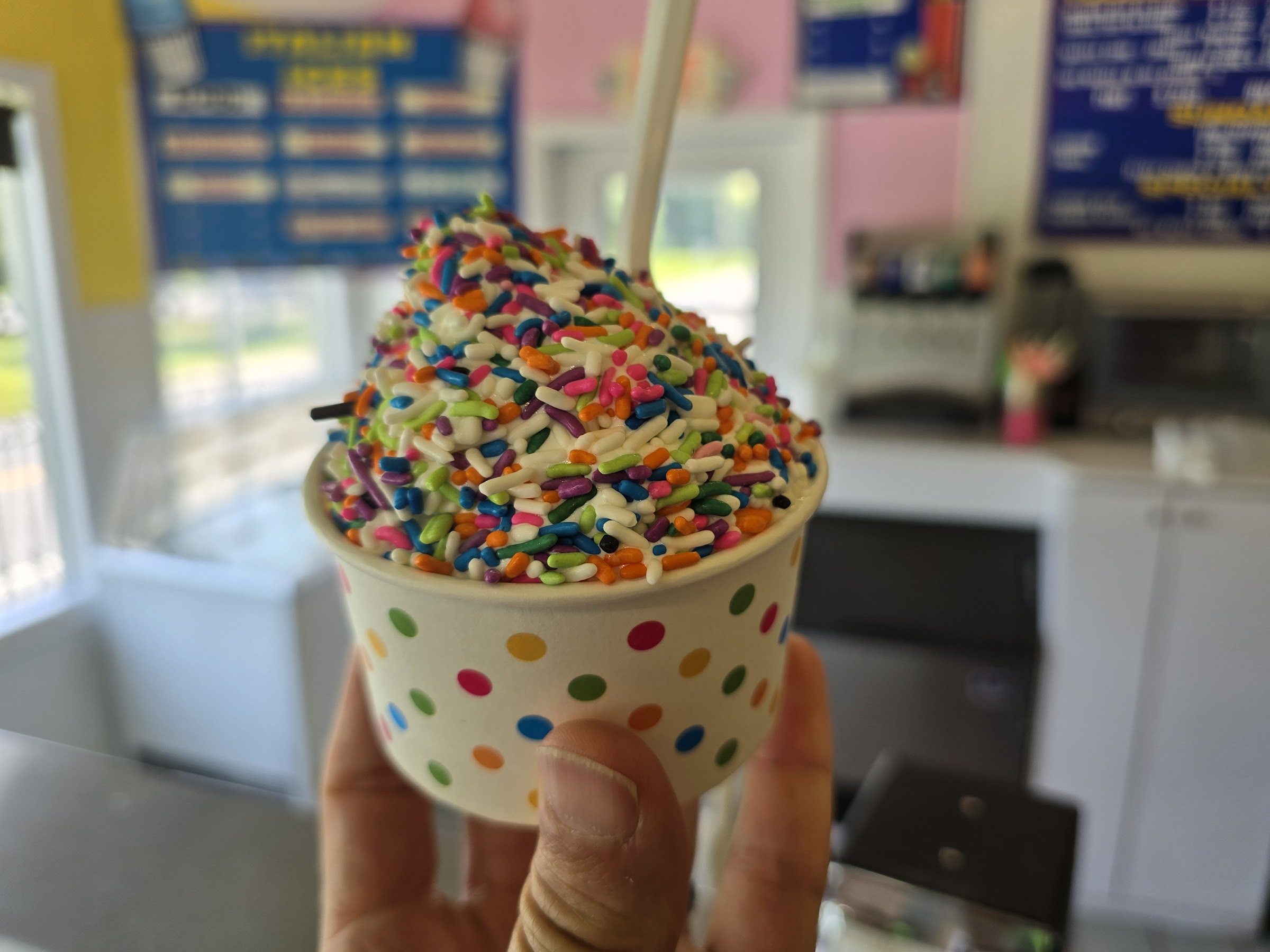 Dairy Swirl photo