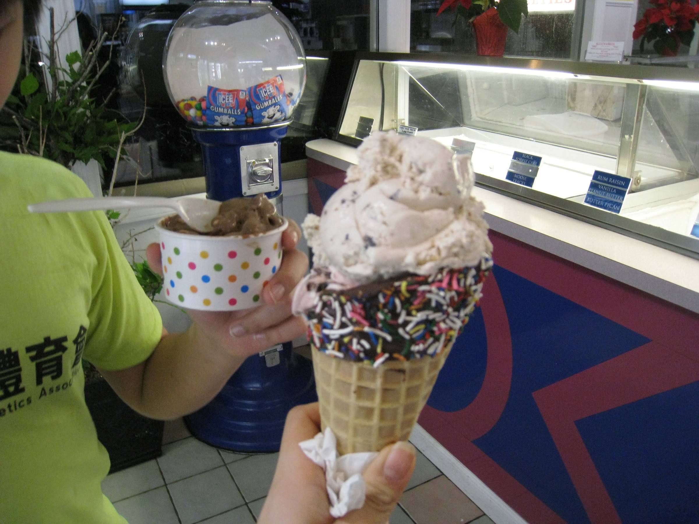 Dairy Swirl photo