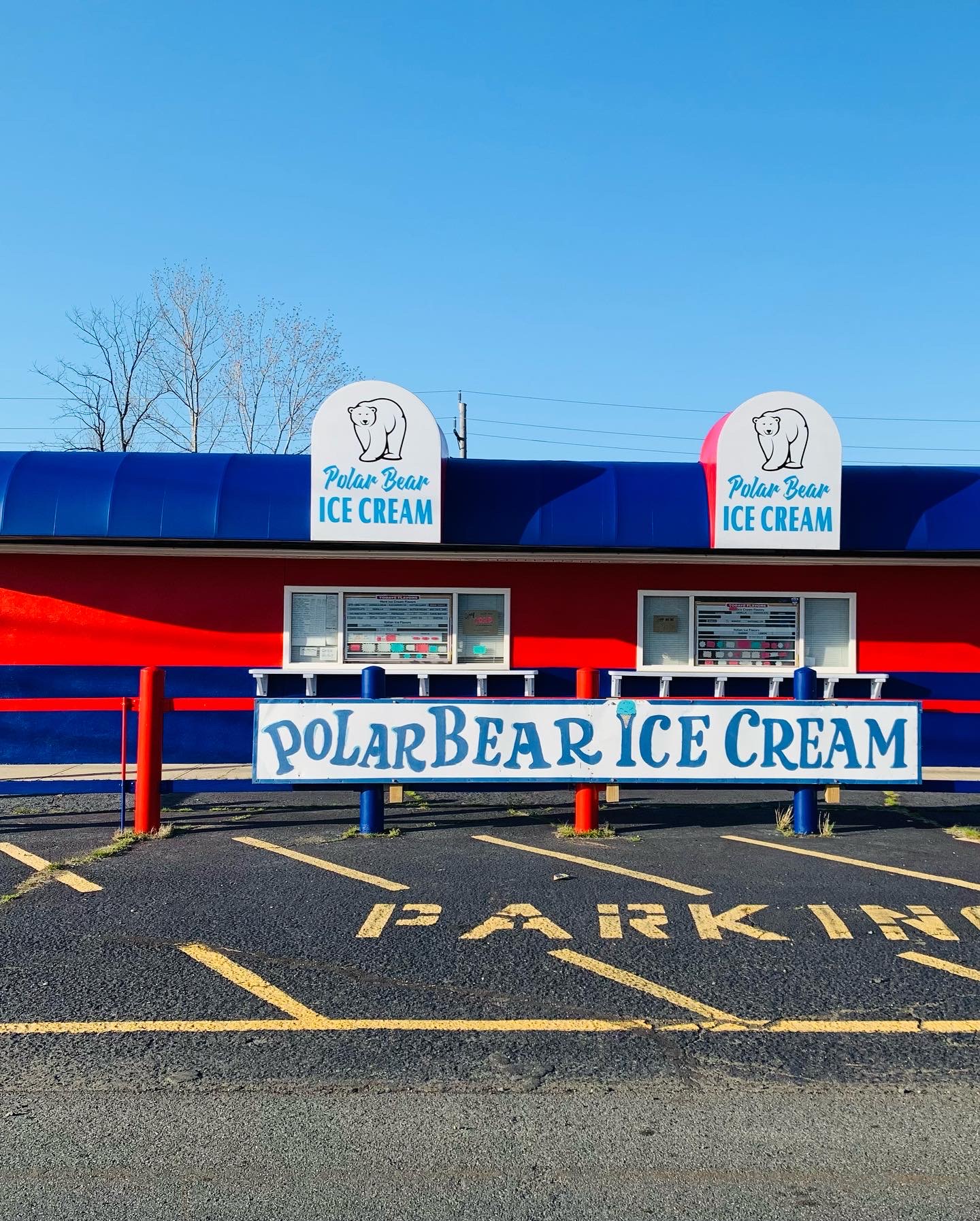 Polar Bear Ice Cream photo