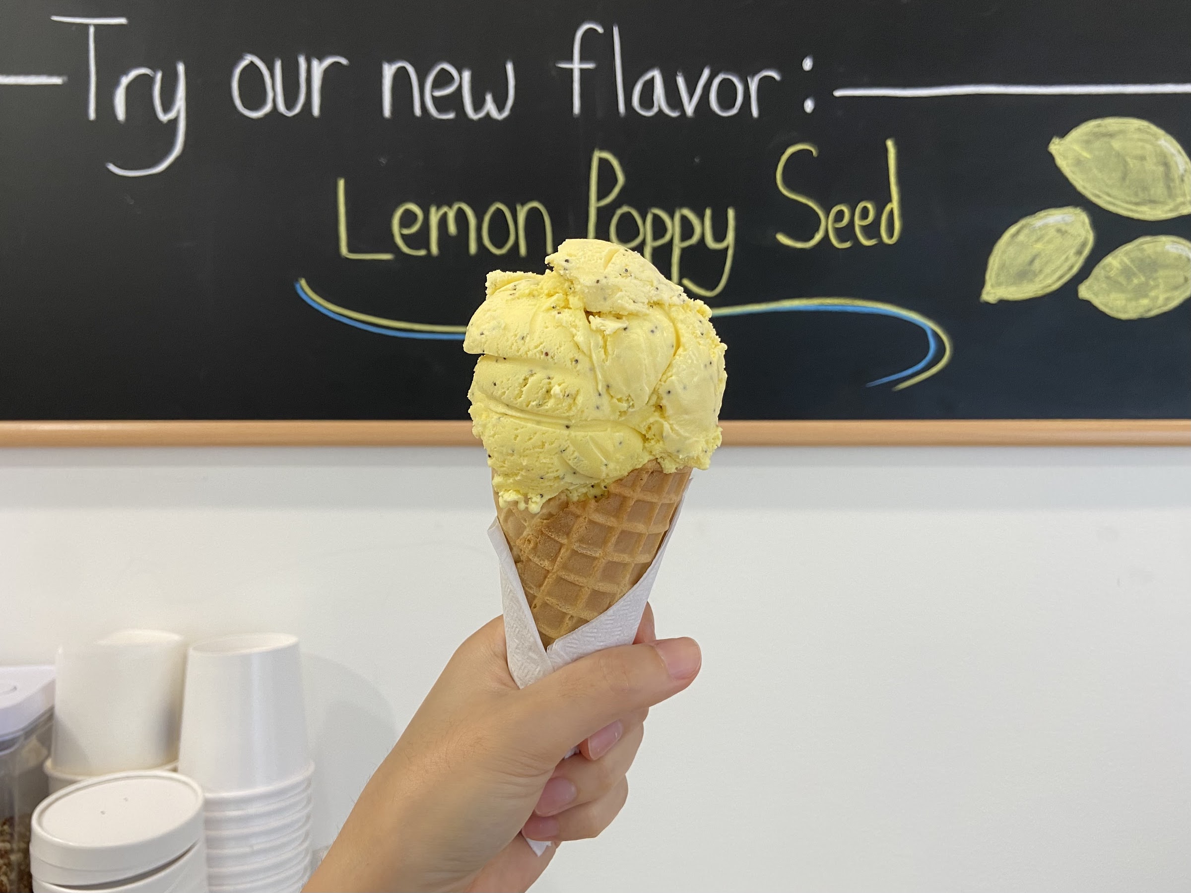 Daniela's Ice Cream