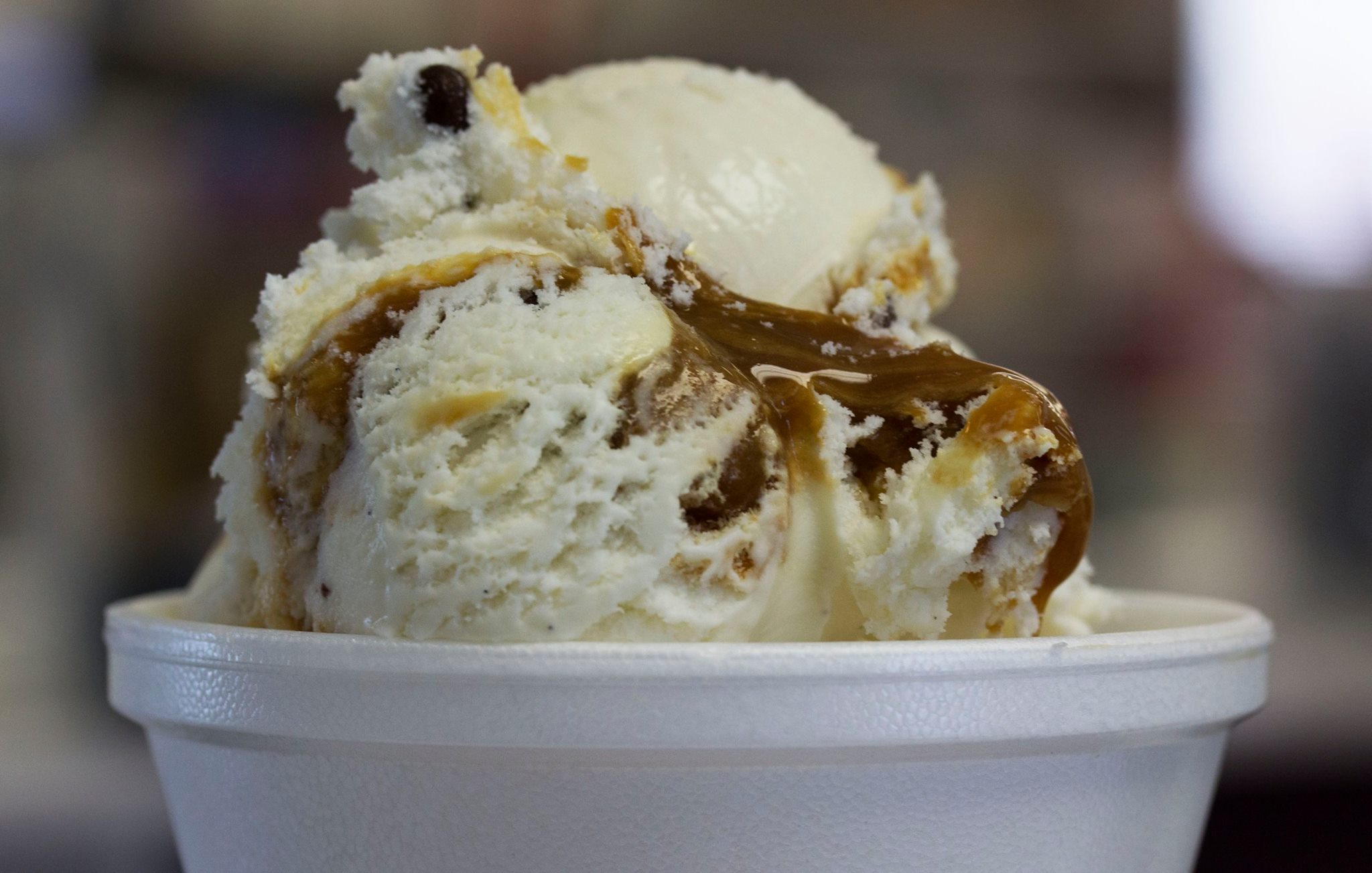 Hobby Horse Ice Cream Parlor & Cafe photo
