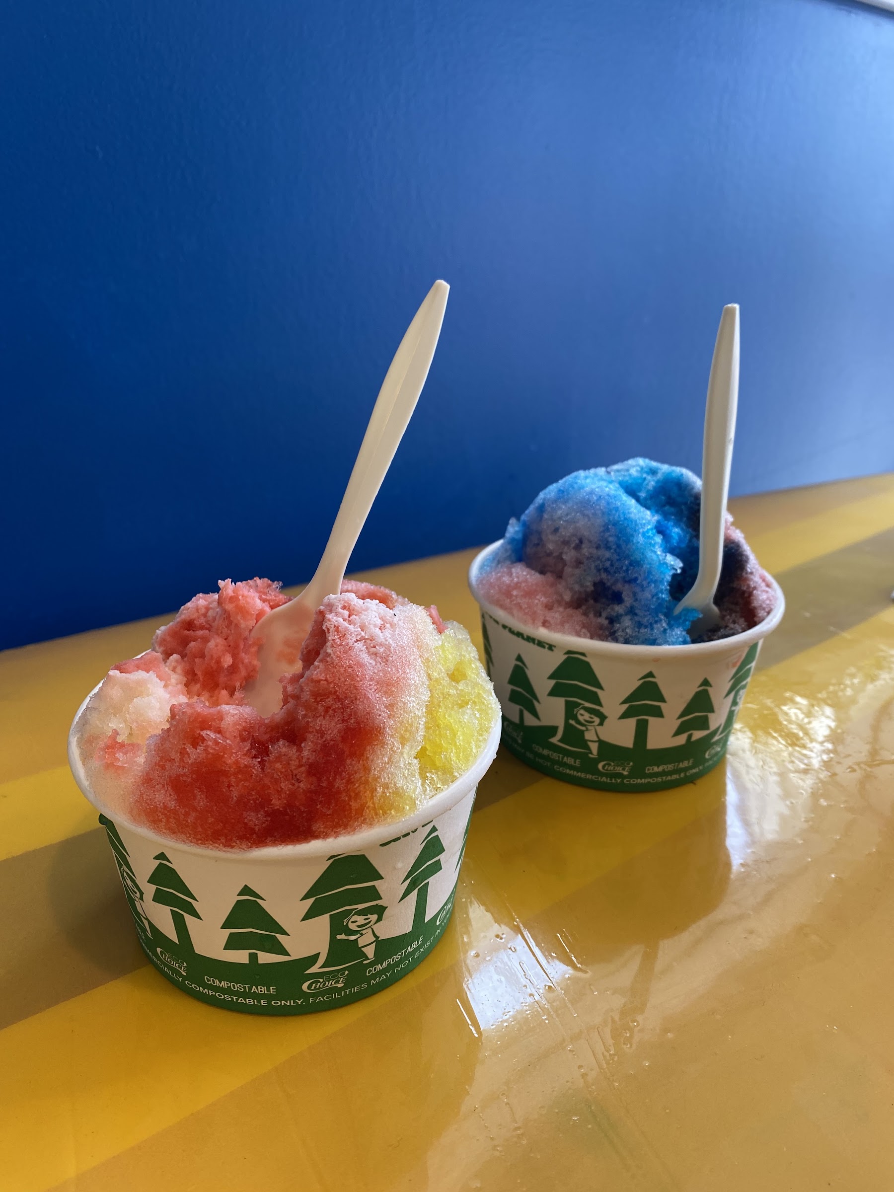LBI Shave Ice Ohana Hau photo