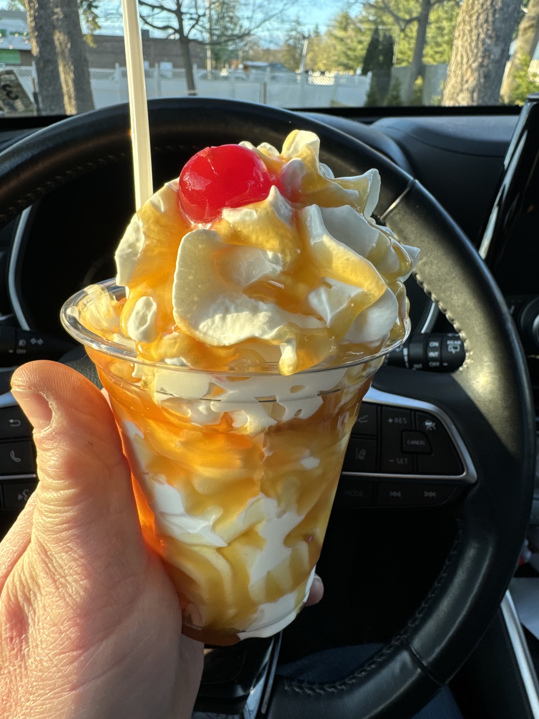Twin Kiss Drive In photo