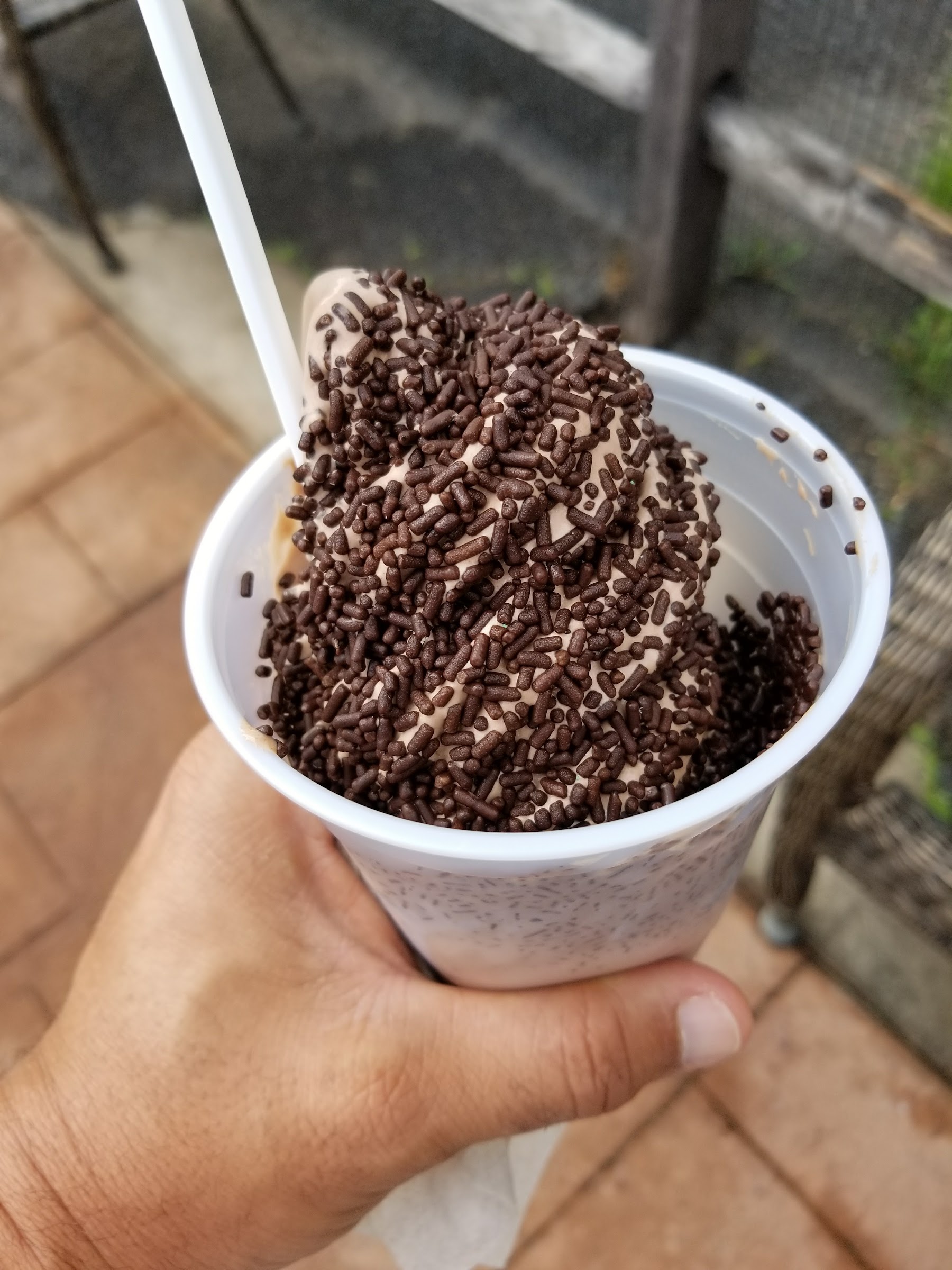 Twin Kiss Drive In photo