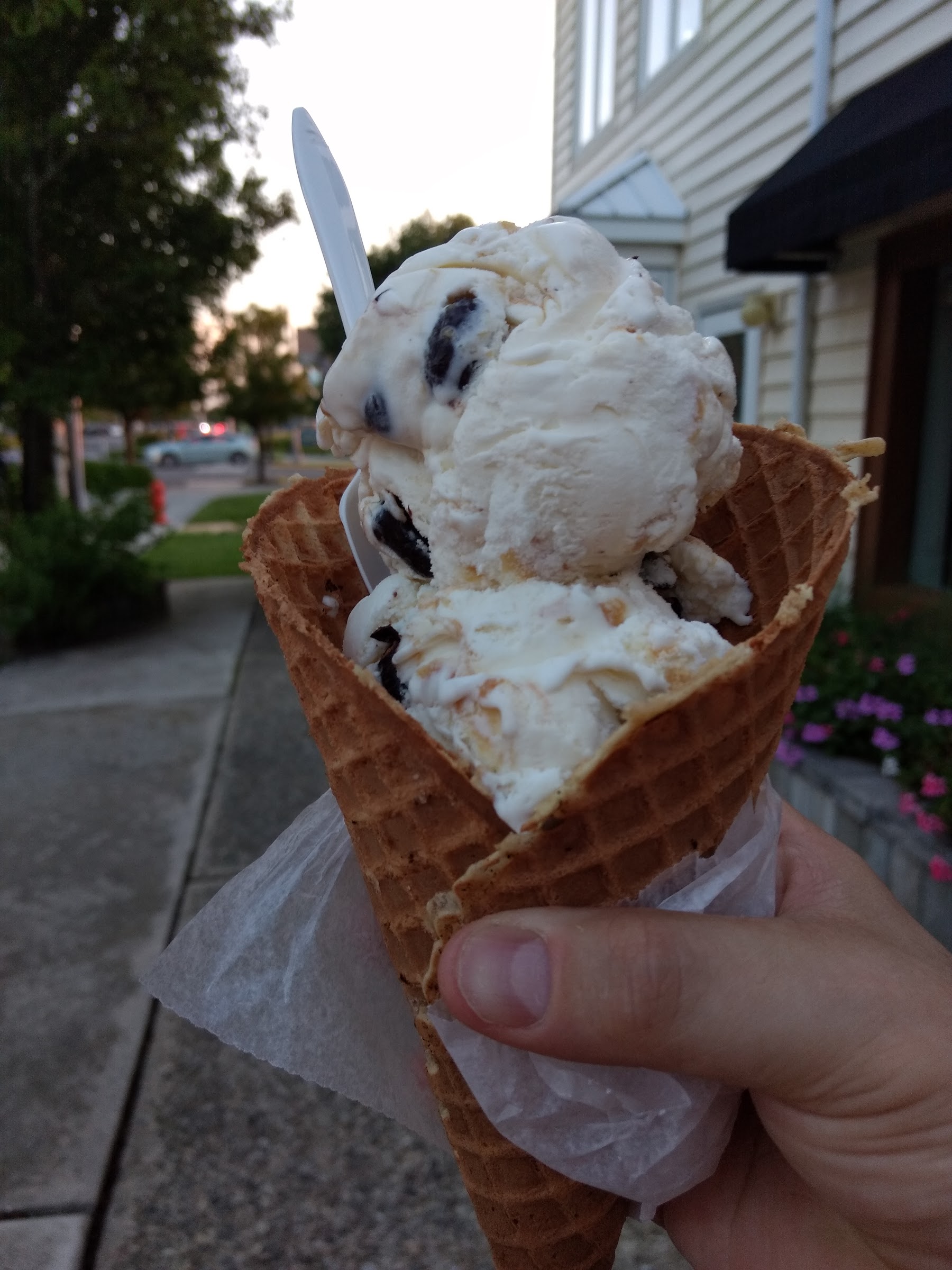 Sundae Best Homemade Ice Cream photo