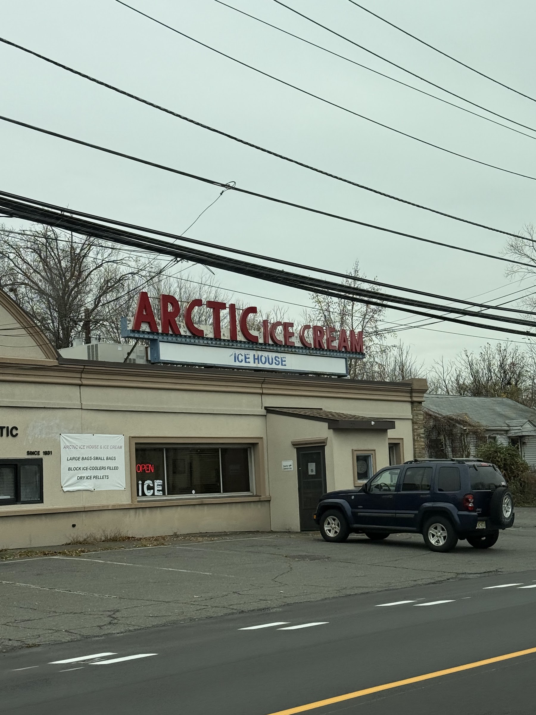 Arctic Ice Cream photo