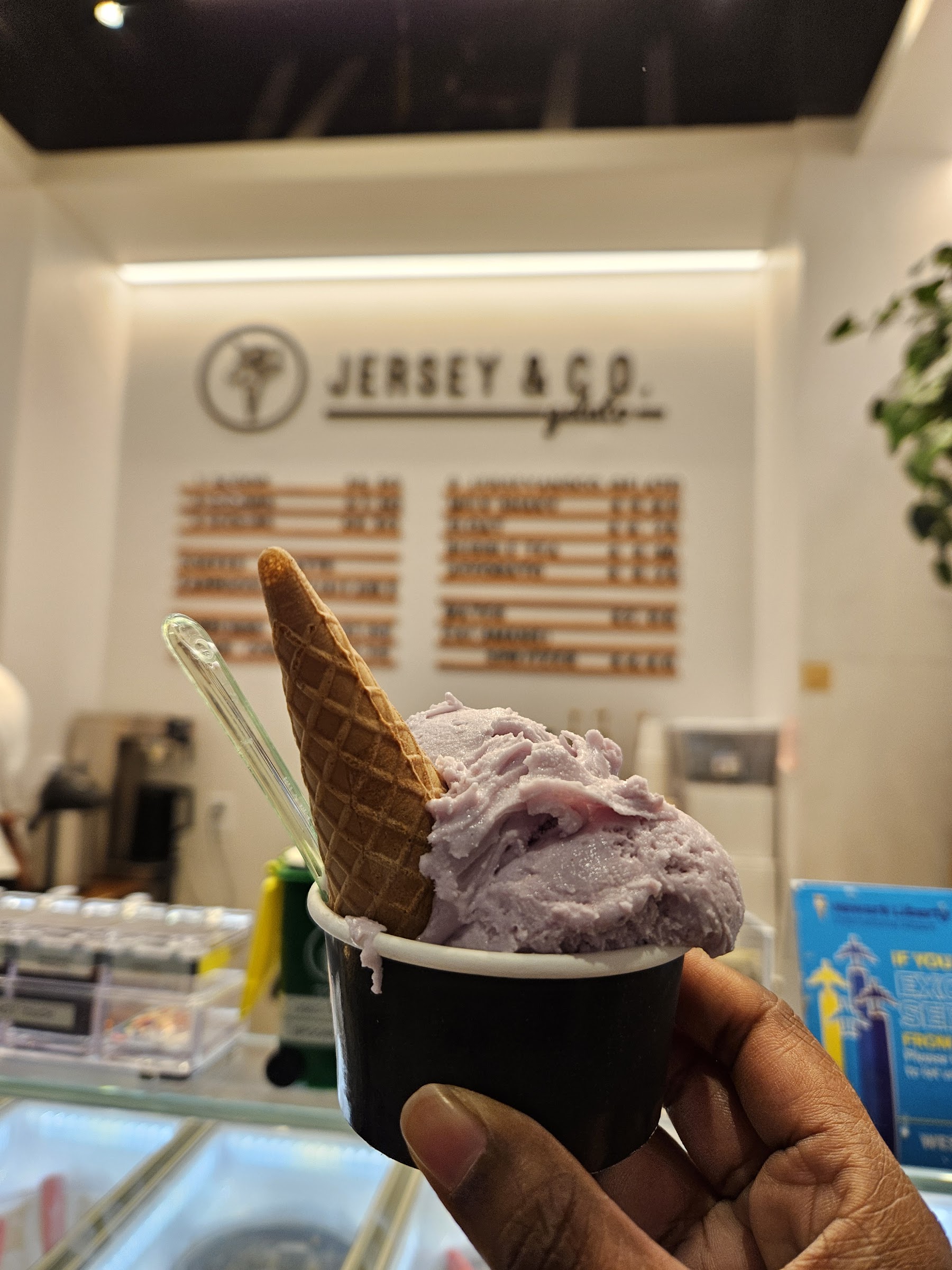 Jersey & Co. Gelato photo