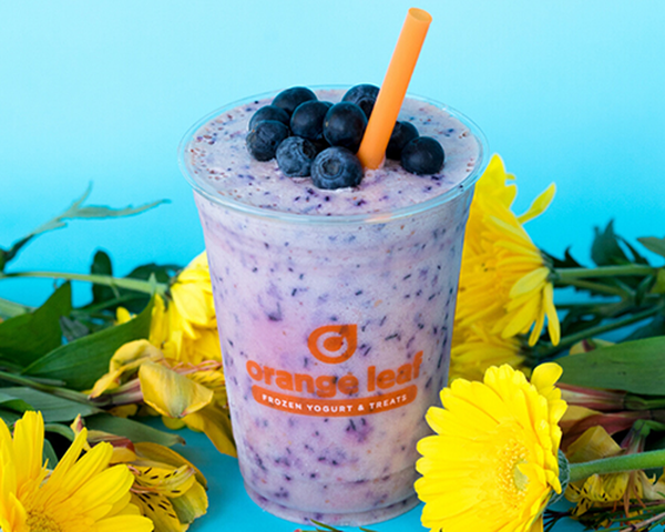 Orange Leaf Frozen Yogurt photo