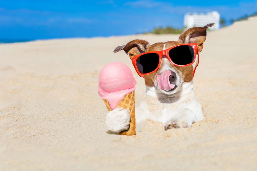Denville Ice Cream photo